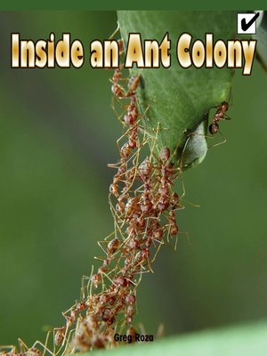 cover image of Inside an Ant Colony